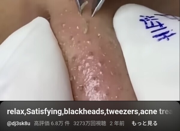 お掃除動画