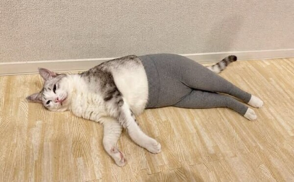 出勤しました🙇