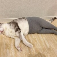 出勤しました🙇