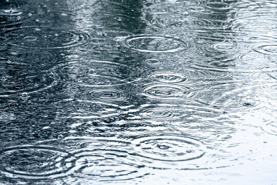 今日も雨☂️