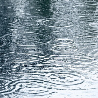 今日も雨☂️