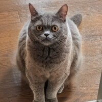 出勤です