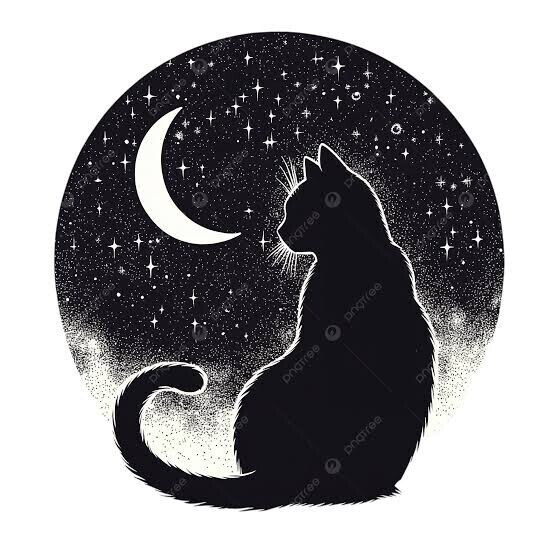 ねんねのお時間です✨