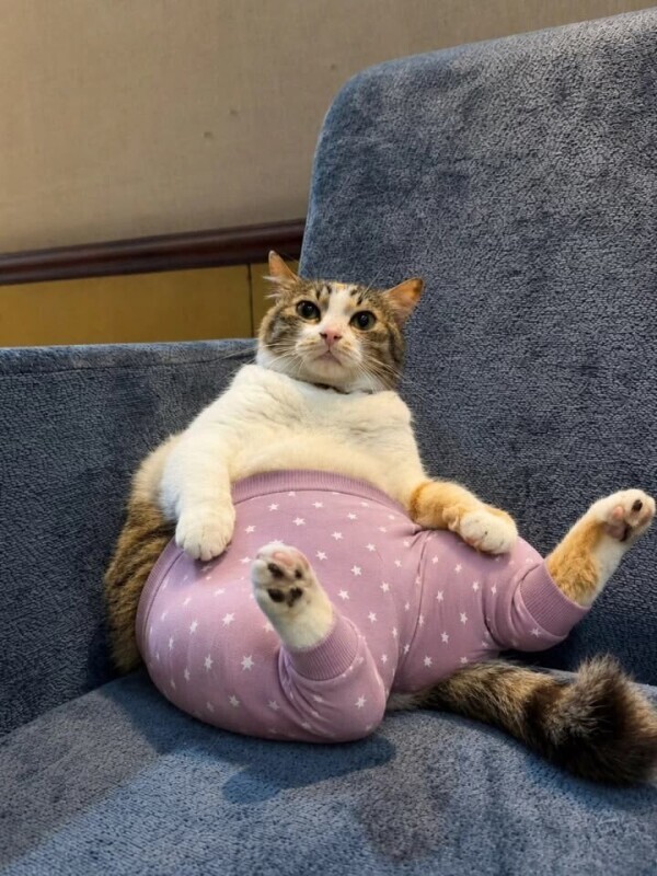 お休み😃