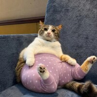 お休み😃
