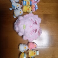 ぴよりーな🐥✨