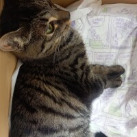到着😽🏥