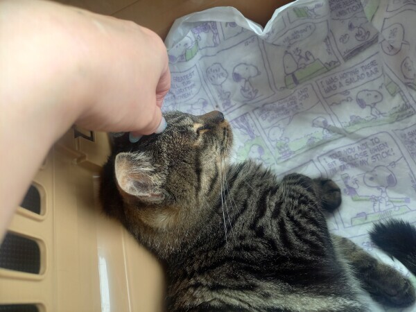 終わりました😽🏥