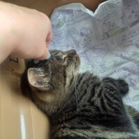 終わりました😽🏥