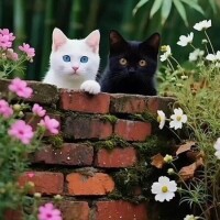 おはようございます☁️
