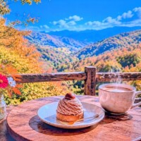 おはようございます