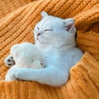 おやすみなさい😴