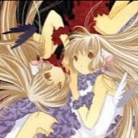 ヾ(〃^∇^)ﾉ