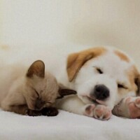 おやすみなさい😴
