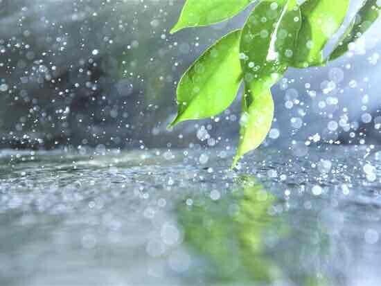 🌧本日おやすみ。