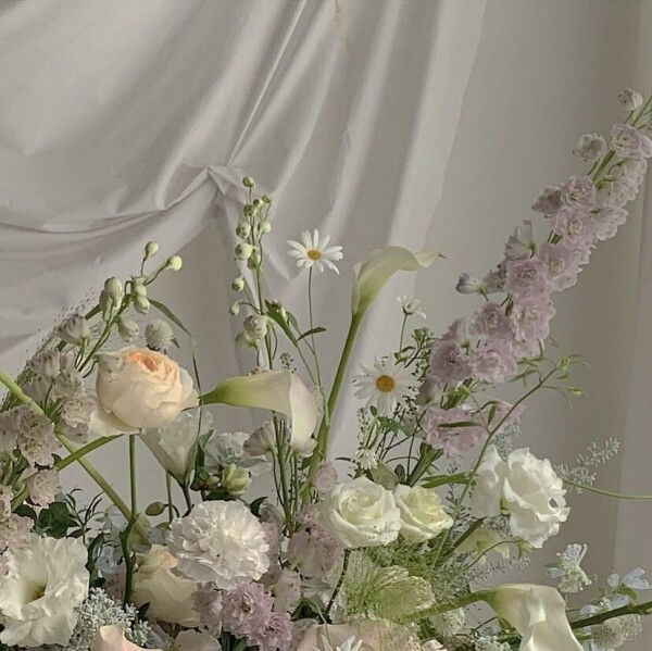 image0.jpeg