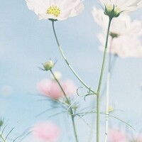 本日出勤🎀