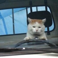 出勤です