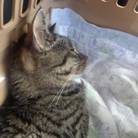 終わりました😽🏥
