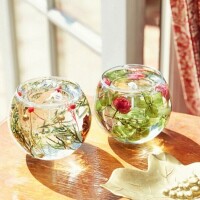 新発売✨