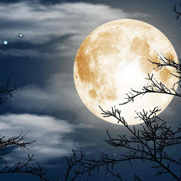 🌙*ﾟ