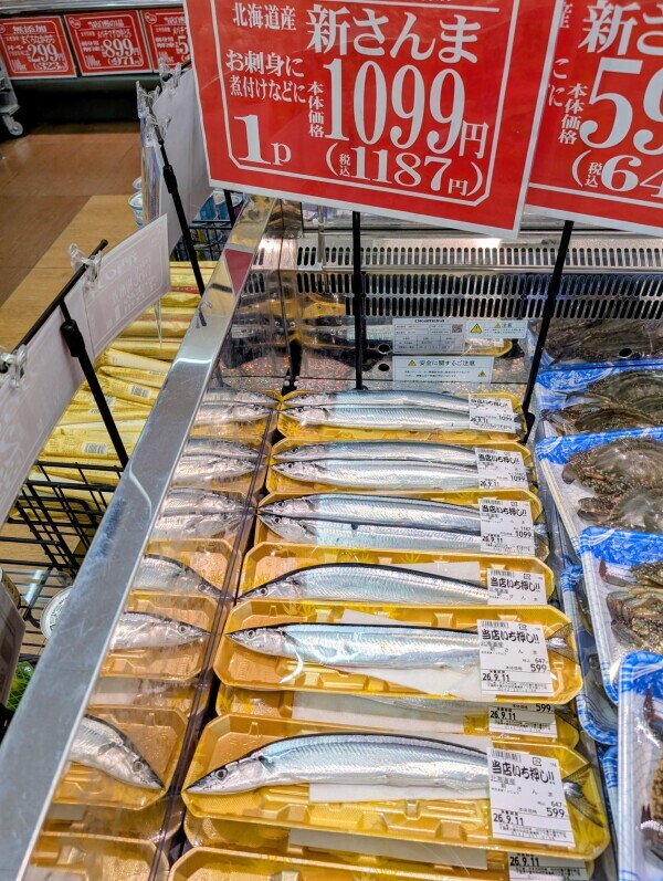 ✨🐟✨
