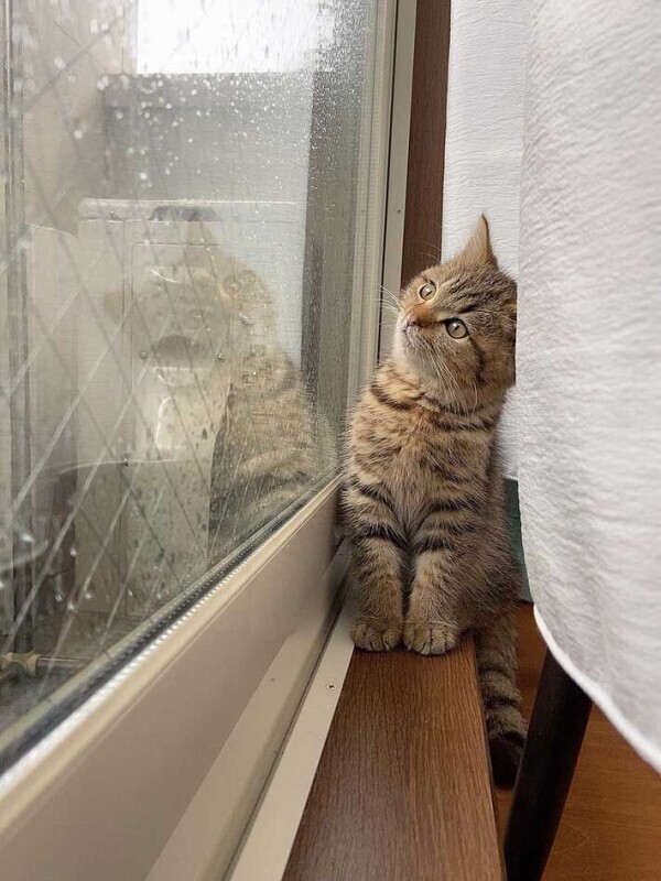おはようございます☔