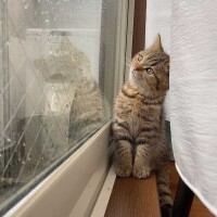 おはようございます☔