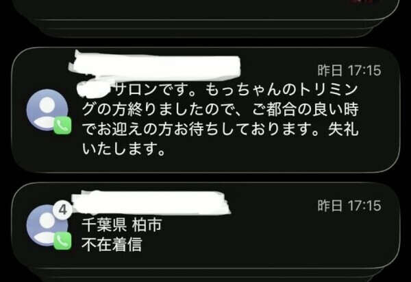 どこのこ