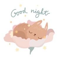 🐰
