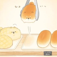ありがとうございました‎‎𖤐 ̖́-‬