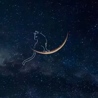 ⭐️今日も1日お疲れ様です⭐️