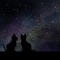 ☘️今日も1日暑い中おつかれ様です☘️