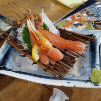 初めてのお店🐟️
