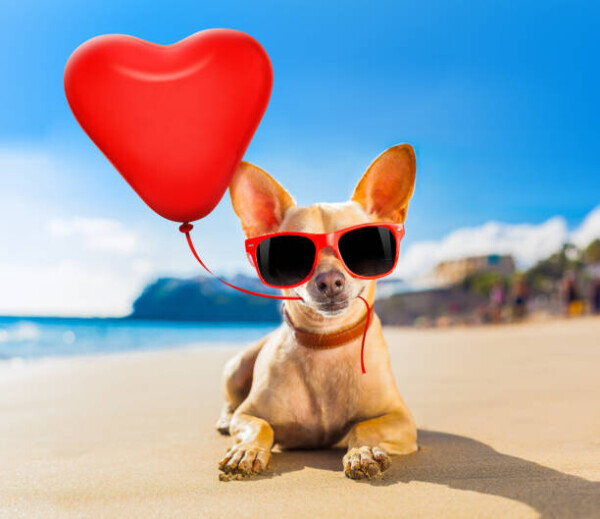 ありがとうございました♥️