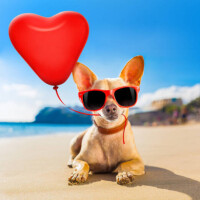 ありがとうございました♥️