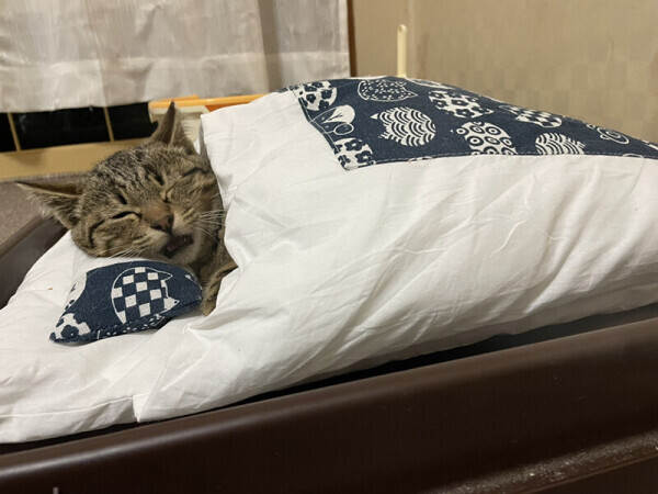 それでは…