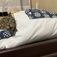 それでは…