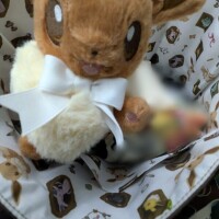 おはようございます⚡