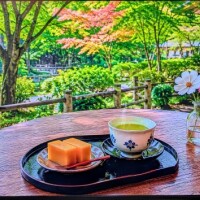 おはようございます！