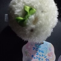 取れちゃった😆