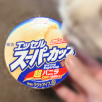 🍨