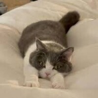 ☘️おはようございます☘️