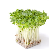 おはようございます〜