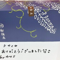 (*,,˃ ᵕ ˂ )✰*｡