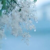 本日出勤🎀