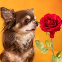 ありがとうございました♥️