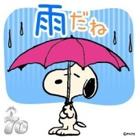 お休みです☔