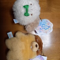 キャラは…❓️