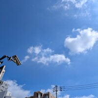 出勤です